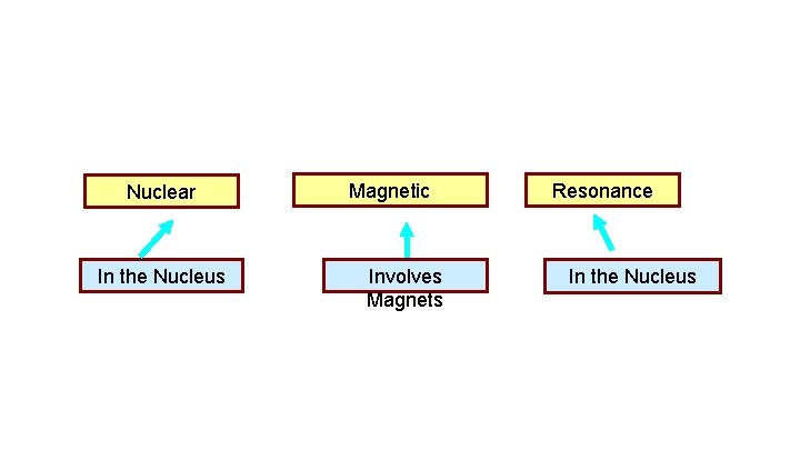 Nuclear In the Nucleus Magnetic Involves Magnets Resonance In the Nucleus 