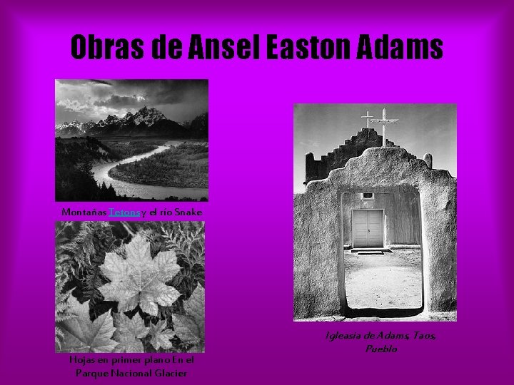 Obras de Ansel Easton Adams Montañas Tetons y el río Snake Hojas en primer