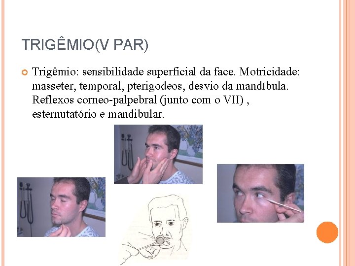 TRIGÊMIO(V PAR) Trigêmio: sensibilidade superficial da face. Motricidade: masseter, temporal, pterigodeos, desvio da mandíbula.