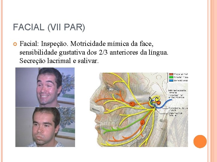 FACIAL (VII PAR) Facial: Inspeção. Motricidade mímica da face, sensibilidade gustativa dos 2/3 anteriores