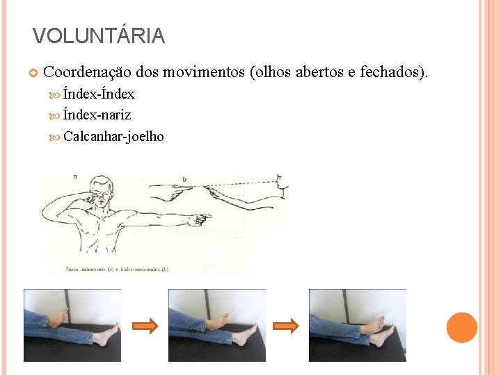 VOLUNTÁRIA Coordenação dos movimentos (olhos abertos e fechados). Índex-Índex Índex-nariz Calcanhar-joelho 