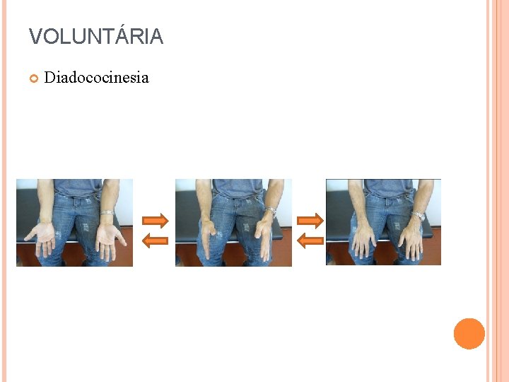 VOLUNTÁRIA Diadococinesia 