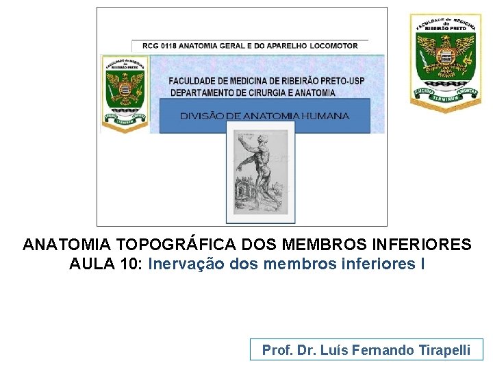 ANATOMIA TOPOGRÁFICA DOS MEMBROS INFERIORES AULA 10: Inervação dos membros inferiores I Prof. Dr.