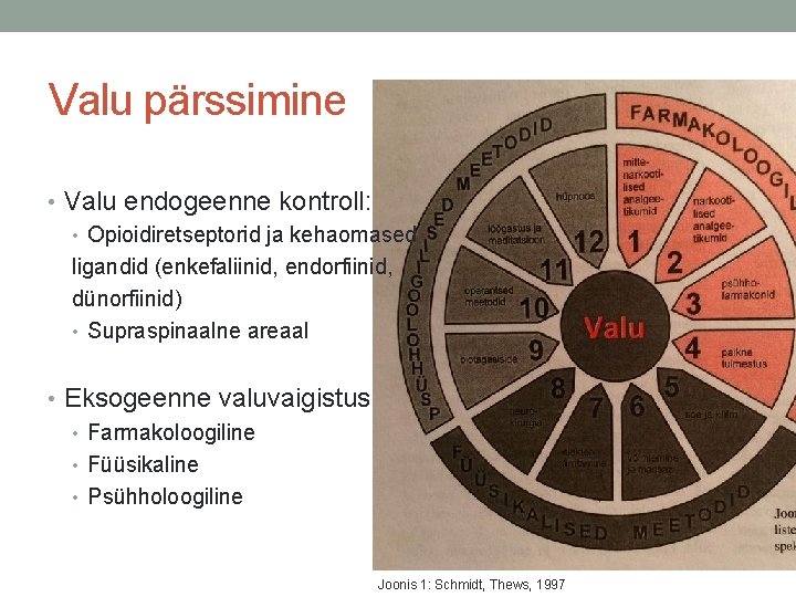 Valu pärssimine • Valu endogeenne kontroll: • Opioidiretseptorid ja kehaomased ligandid (enkefaliinid, endorfiinid, dünorfiinid)