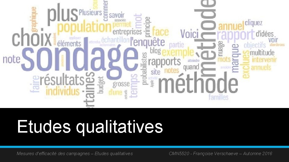 Etudes qualitatives Mesures d’efficacité des campagnes – Etudes qualitatives CMN 5520 - Françoise Verschaeve