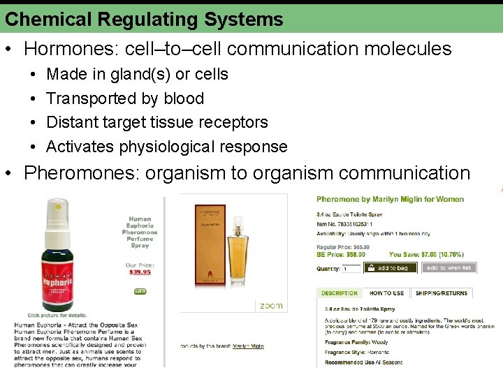 Chemical Regulating Systems • Hormones: cell–to–cell communication molecules • • Made in gland(s) or