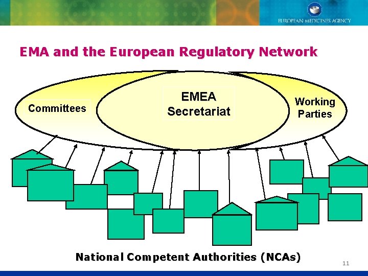 EMA and the European Regulatory Network Committees EMEA Secretariat Working Parties National Competent Authorities