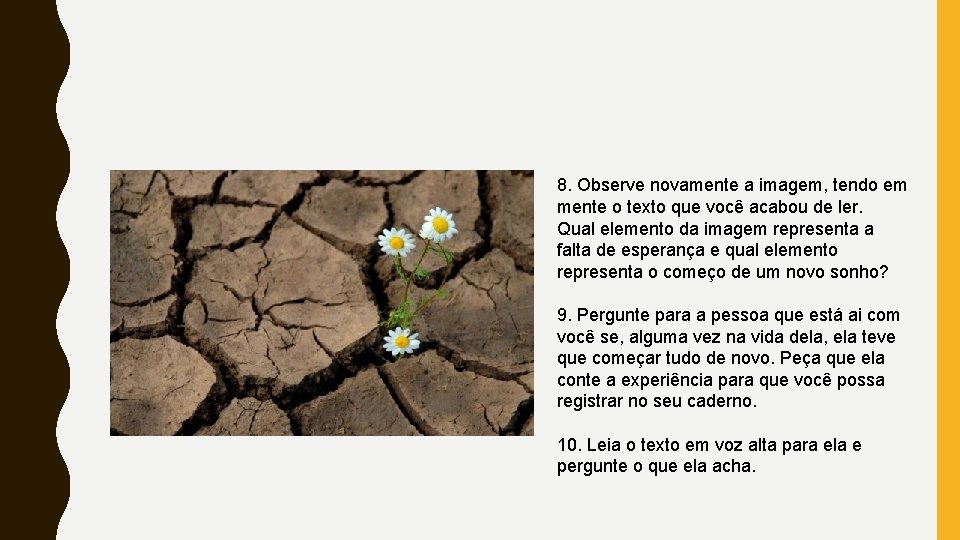 8. Observe novamente a imagem, tendo em mente o texto que você acabou de