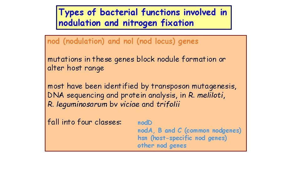 Types of bacterial functions involved in nodulation and nitrogen fixation nod (nodulation) and nol