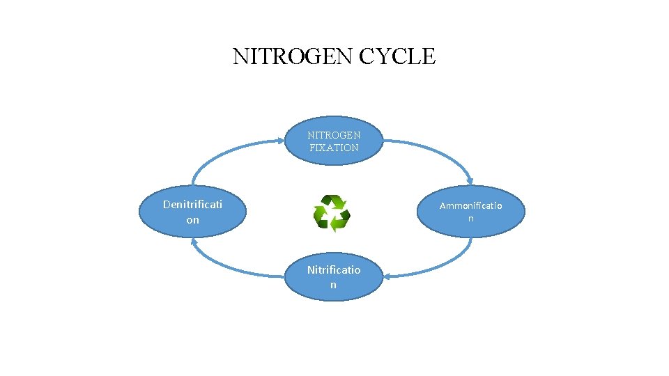 NITROGEN CYCLE NITROGEN FIXATION Denitrificati on Ammonificatio n Nitrificatio n 