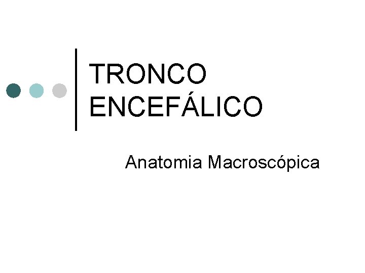 TRONCO ENCEFÁLICO Anatomia Macroscópica 