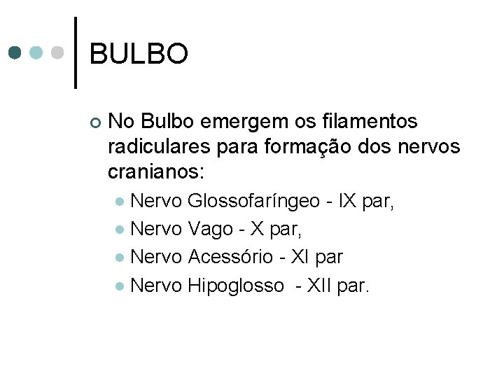 BULBO ¢ No Bulbo emergem os filamentos radiculares para formação dos nervos cranianos: Nervo