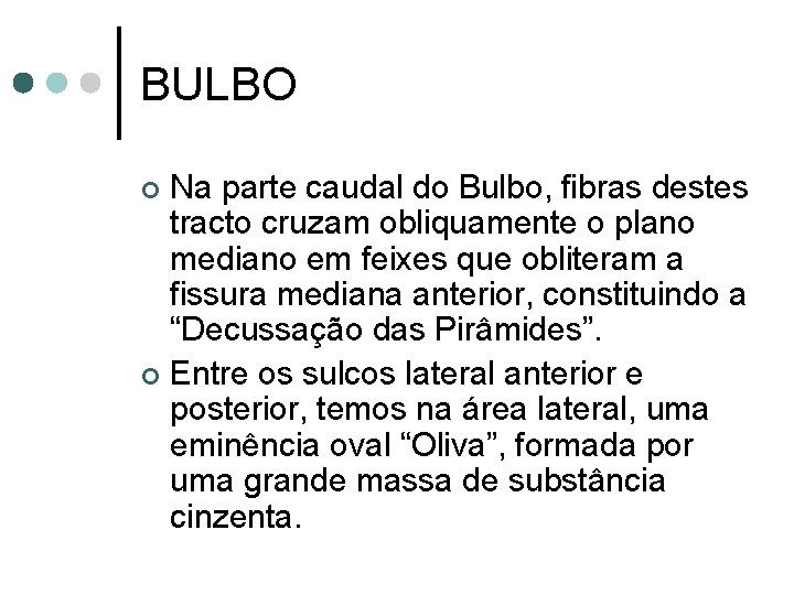 BULBO Na parte caudal do Bulbo, fibras destes tracto cruzam obliquamente o plano mediano