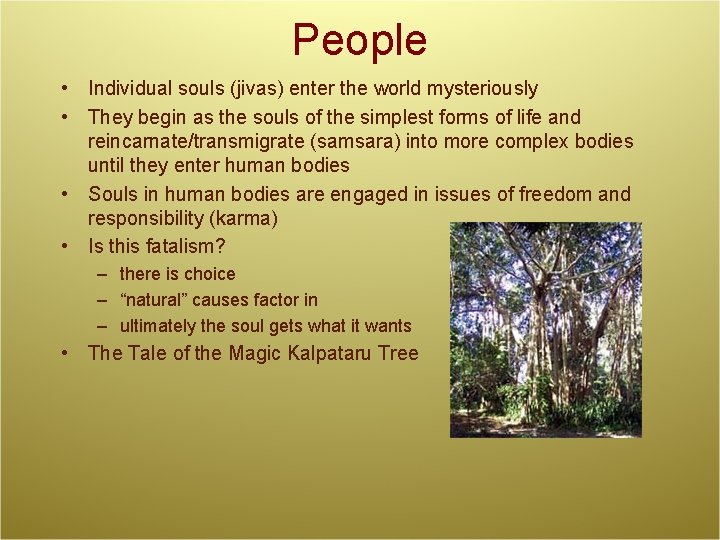 People • Individual souls (jivas) enter the world mysteriously • They begin as the