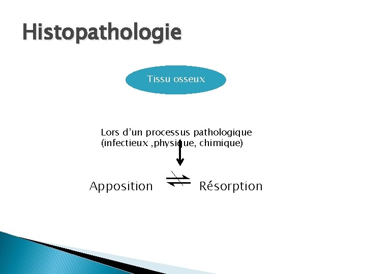Histopathologie Tissu osseux Lors d’un processus pathologique (infectieux , physique, chimique) Apposition ⇌ Résorption