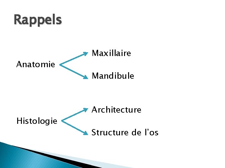 Rappels Anatomie Histologie Maxillaire Mandibule Architecture Structure de l’os 