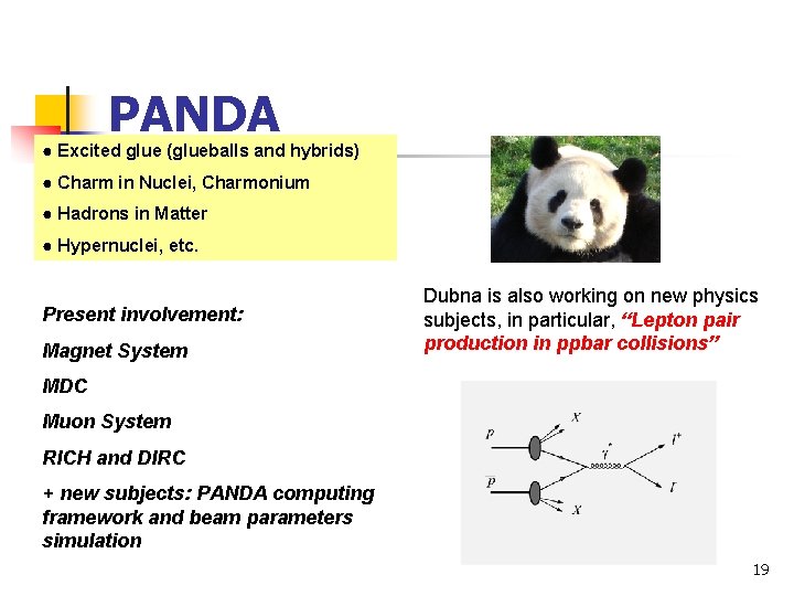 PANDA ● Excited glue (glueballs and hybrids) ● Charm in Nuclei, Charmonium ● Hadrons