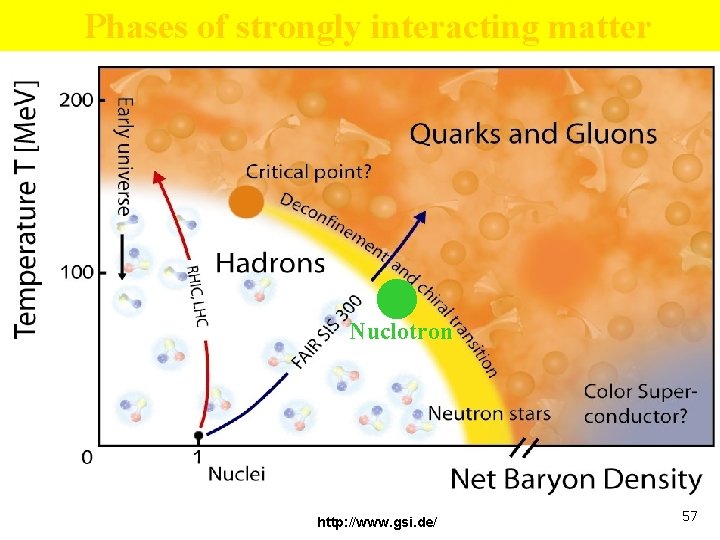 Phases of strongly interacting matter . Nuclotron http: //www. gsi. de/ 57 