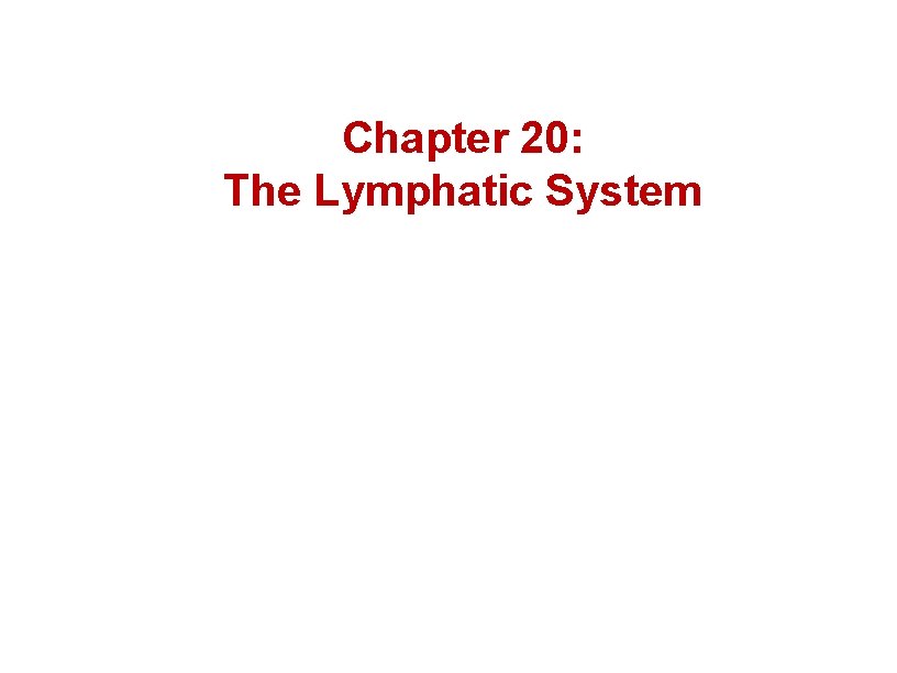 Chapter 20: The Lymphatic System 