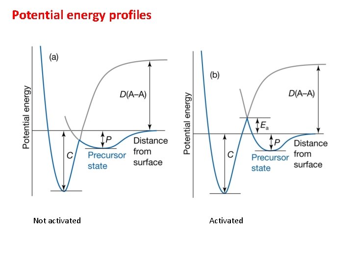 Potential energy profiles Not activated Activated 