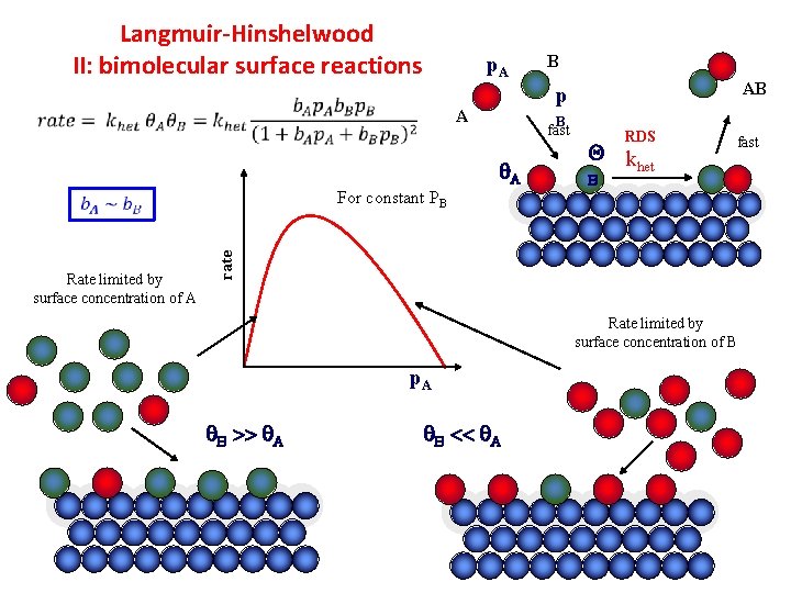 Langmuir-Hinshelwood II: bimolecular surface reactions p. A AB p A B fast A RDS