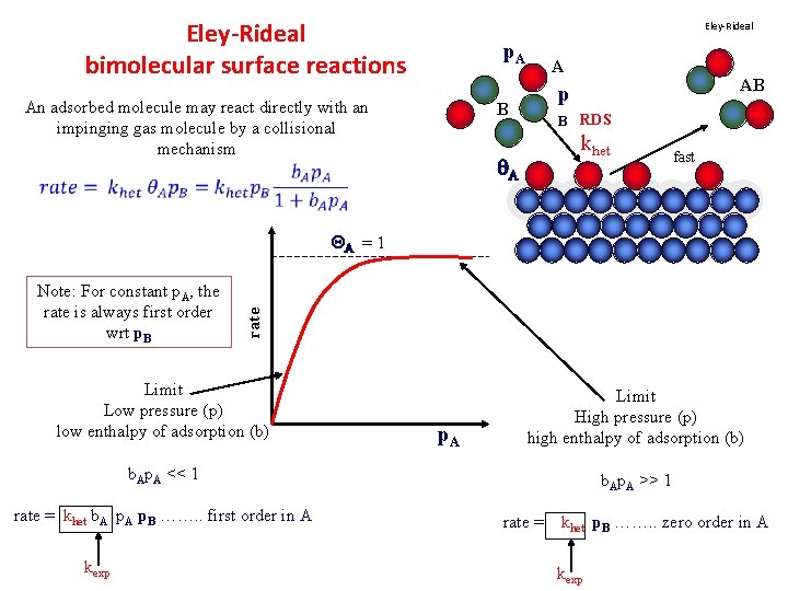 Eley-Rideal bimolecular surface reactions Eley-Rideal p. A An adsorbed molecule may react directly with