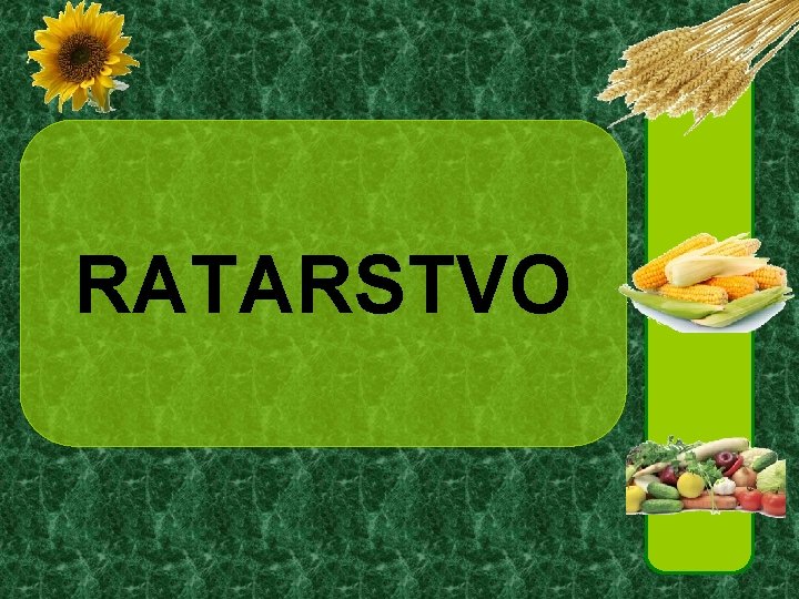 RATARSTVO 