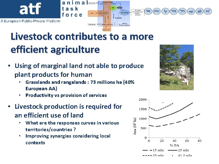 Livestock contributes to a more efficient agriculture • Using of marginal land not able