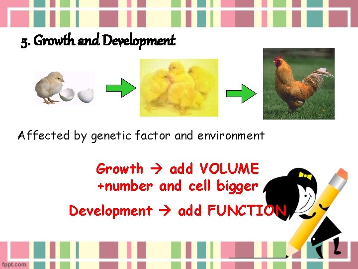 5. Growth and Development Affected by genetic factor and environment Growth add VOLUME +number