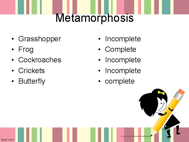 Metamorphosis • • • Grasshopper Frog Cockroaches Crickets Butterfly • • • Incomplete Complete