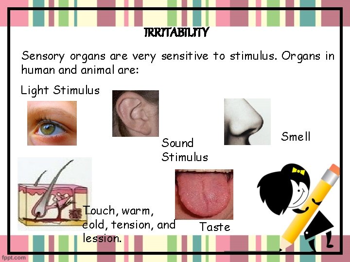 IRRITABILITY Sensory organs are very sensitive to stimulus. Organs in human and animal are: