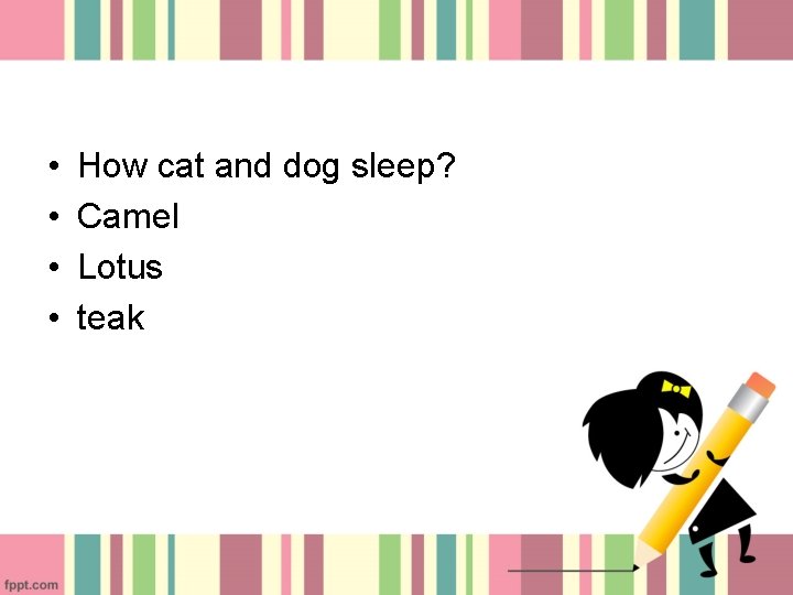  • • How cat and dog sleep? Camel Lotus teak 