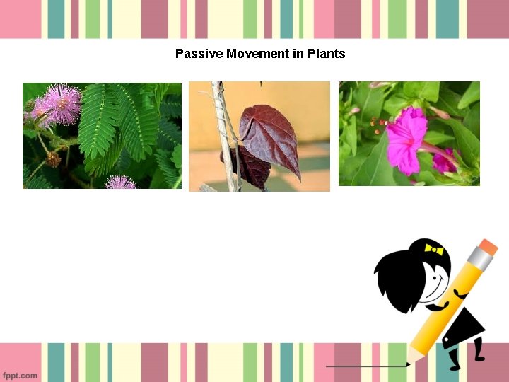 Passive Movement in Plants 