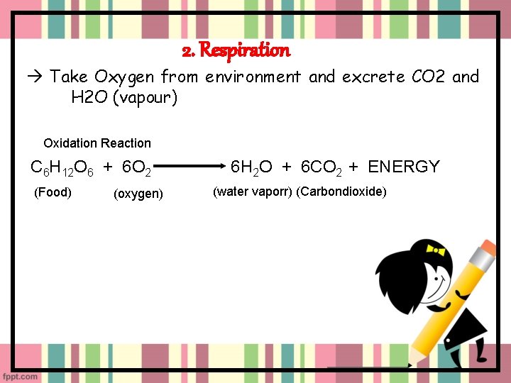 2. Respiration Take Oxygen from environment and excrete CO 2 and H 2 O