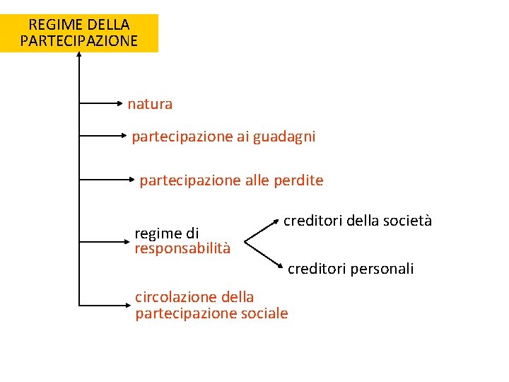 REGIME DELLA PARTECIPAZIONE natura partecipazione ai guadagni partecipazione alle perdite regime di responsabilità creditori