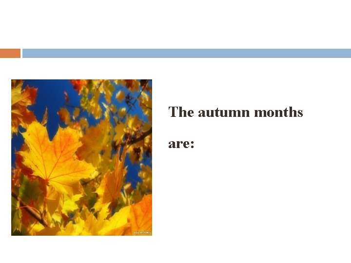 The autumn months are: 
