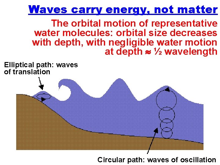Waves carry energy, not matter The orbital motion of representative water molecules: orbital size
