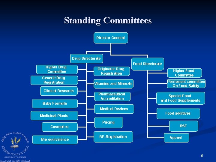 Standing Committees Director General Drug Directorate Higher Drug Committee Generic Drug Registration Clinical Research Standing Committees Director General Drug Directorate Higher Drug Committee Generic Drug Registration Clinical Research