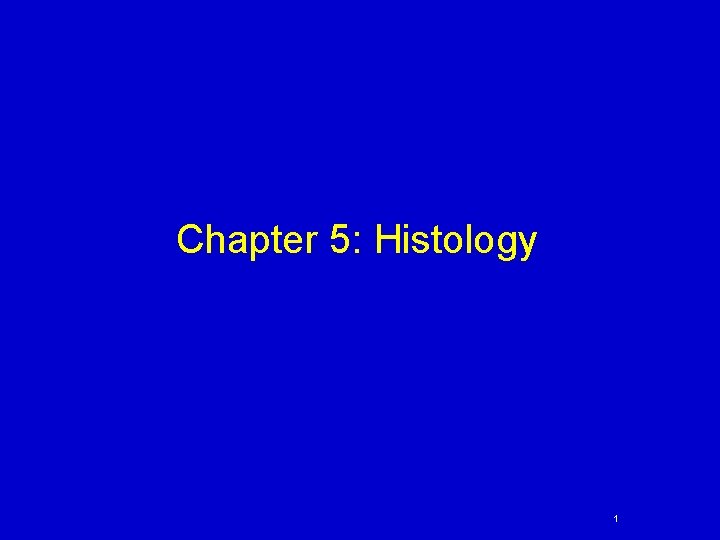 Chapter 5: Histology 1 