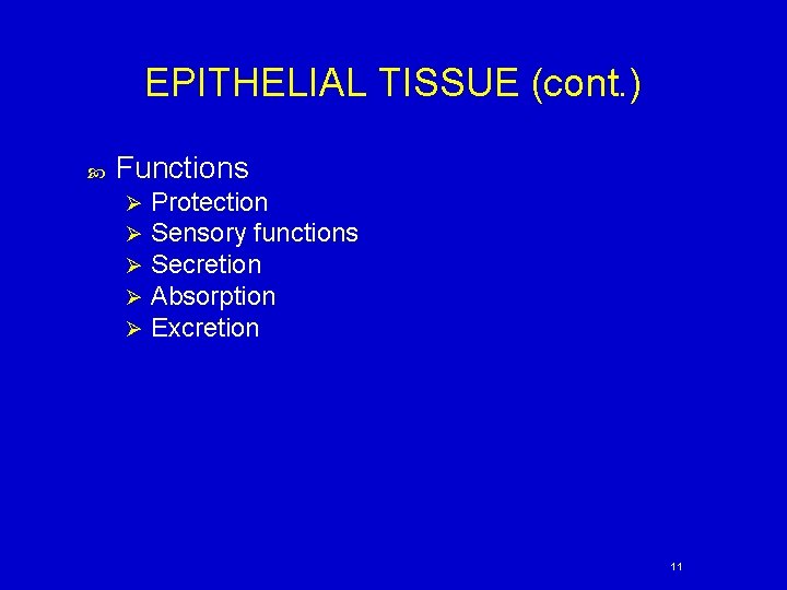 EPITHELIAL TISSUE (cont. ) Functions Ø Ø Ø Protection Sensory functions Secretion Absorption Excretion