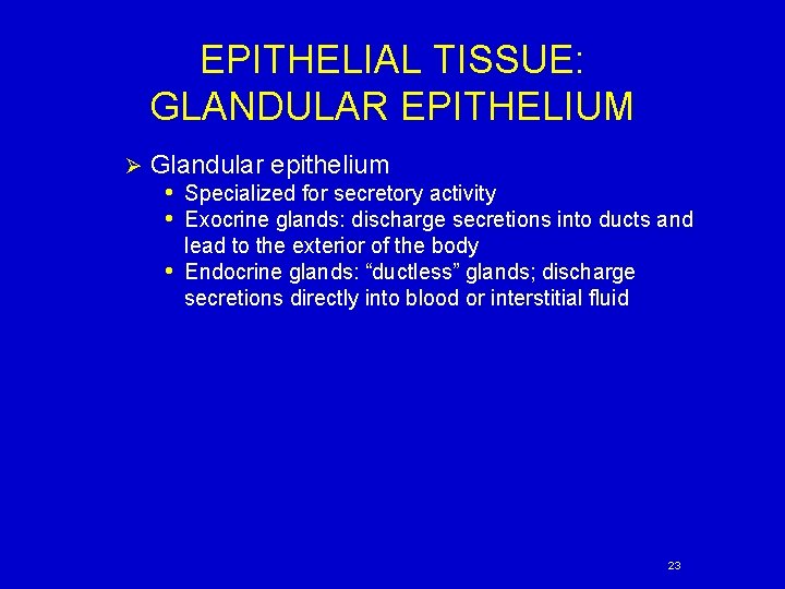 EPITHELIAL TISSUE: GLANDULAR EPITHELIUM Ø Glandular epithelium • Specialized for secretory activity • Exocrine