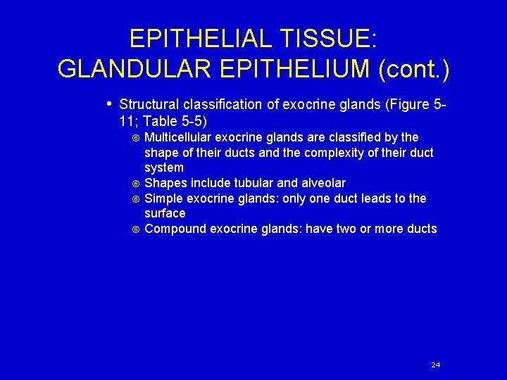 EPITHELIAL TISSUE: GLANDULAR EPITHELIUM (cont. ) • Structural classification of exocrine glands (Figure 511;