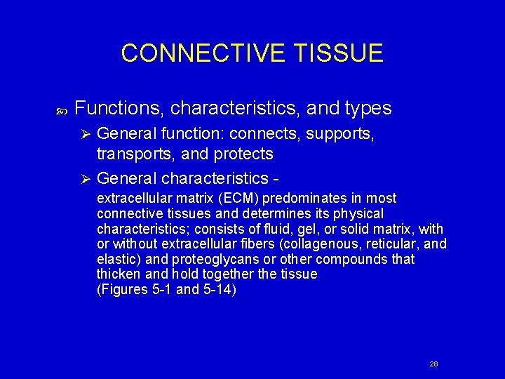 CONNECTIVE TISSUE Functions, characteristics, and types General function: connects, supports, transports, and protects Ø