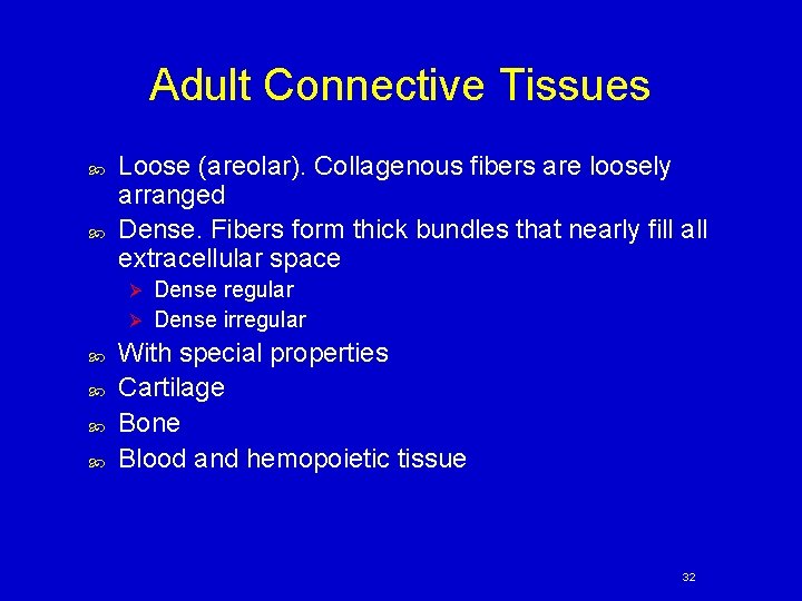 Adult Connective Tissues Loose (areolar). Collagenous fibers are loosely arranged Dense. Fibers form thick