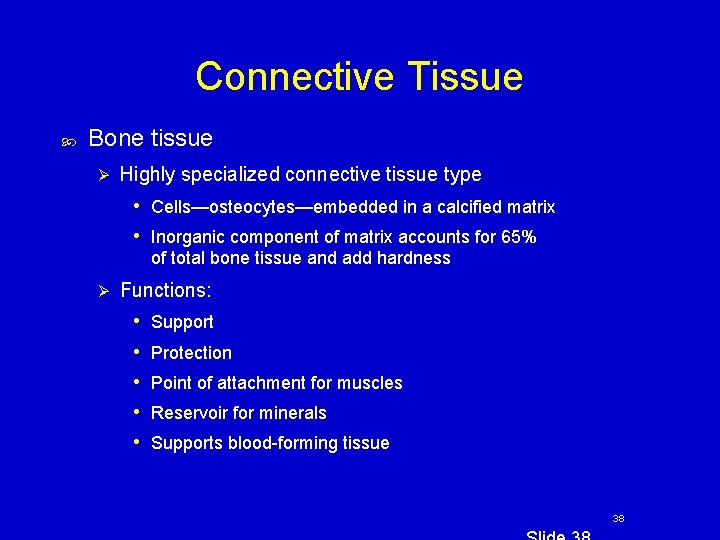 Connective Tissue Bone tissue Ø Highly specialized connective tissue type • Cells—osteocytes—embedded in a