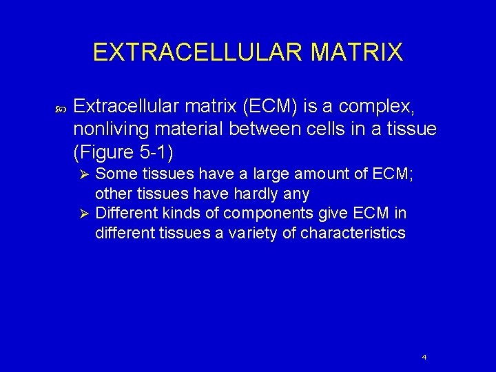 EXTRACELLULAR MATRIX Extracellular matrix (ECM) is a complex, nonliving material between cells in a