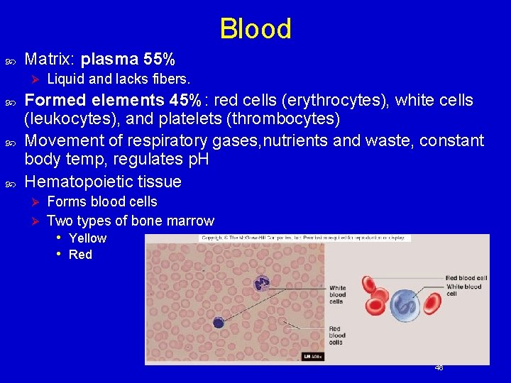 Blood Matrix: plasma 55% Ø Liquid and lacks fibers. Formed elements 45%: red cells