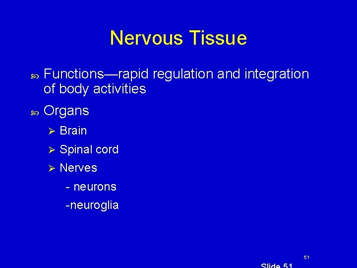 Nervous Tissue Functions—rapid regulation and integration of body activities Organs Ø Brain Ø Spinal