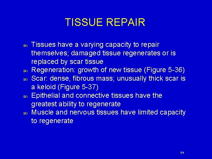 TISSUE REPAIR Tissues have a varying capacity to repair themselves; damaged tissue regenerates or