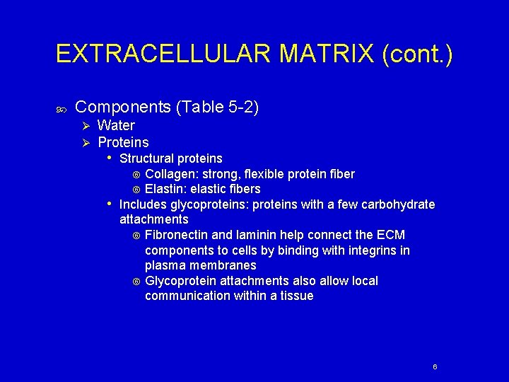 EXTRACELLULAR MATRIX (cont. ) Components (Table 5 -2) Ø Ø Water Proteins • Structural